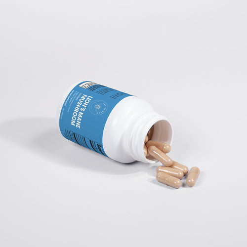 Lion's Mane Mushroom