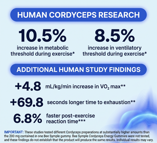 Cordyceps Energy Gummies